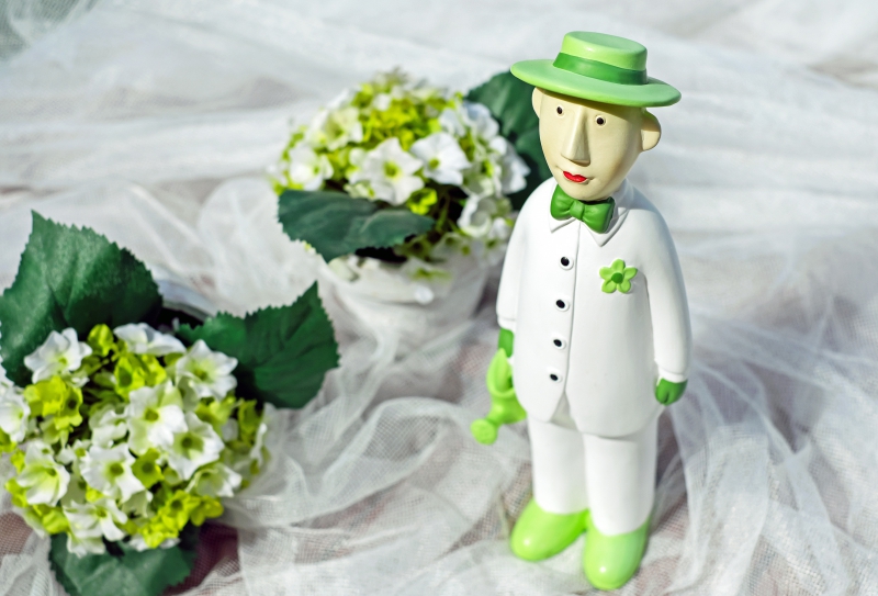 vitrine-UTELLE-min_man-person-flower-green-toy-fig-546529-pxhere.com